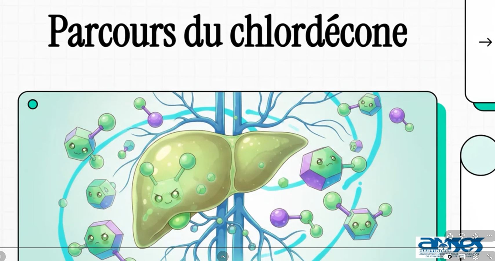 🎬 Nouvelle vidéo&nbsp;: Chlordécone, ce que votre corps subit et comment s’en libérer